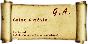 Geist Antónia névjegykártya